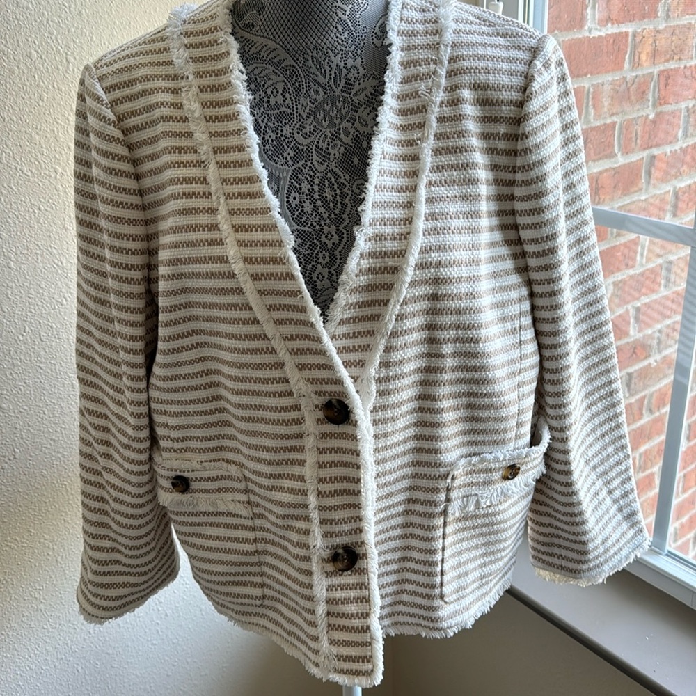 Ann Taylor Blazer